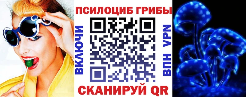 Галлюциногенные грибы мухоморы  Купить где  Енисейск 